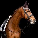 Stang en trens hoofdstel "Apache"