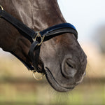 zwart halster met glitter