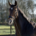 hoofdstel lage neusriem glitter