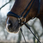 hoofdstel lage neusriem glitter