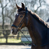 hoofdstel lage neusriem glitter