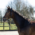 hoofdstel lage neusriem glitter
