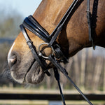 zwart hoofdstel met glitters