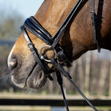 zwart hoofdstel met glitters