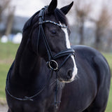 Hoofdstel 'Black' Deluxe