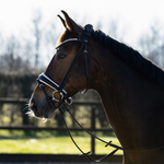 hoofdstel zwart met wit