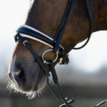 hoofdstel zwart met wit