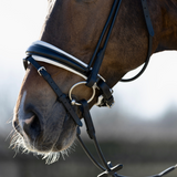 hoofdstel zwart met wit