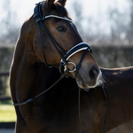 hoofdstel zwart met wit