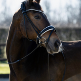hoofdstel zwart met wit
